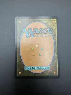 MTG; Shifting Woodland; Borderless; Modern Horizons 3 #0357; NM Unplayed - Image 3