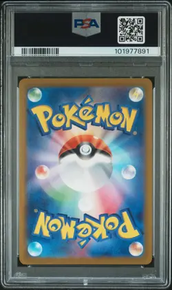 PSA 10 Pikachu Gym Event Campaign Promo 197/SV-P 2024 Pokemon Japanese - Image 2