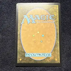 Amphibian Downpour Modern Horizons 3 Regular Near Mint - Image 5