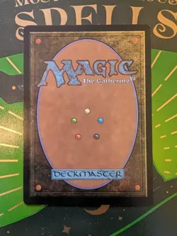 Abundant Countryside (Extended Art) Commander: Lorwyn Eclipsed Regular NM MTG - Image 2