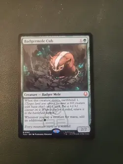 Badgermole Cub Avatar: The Last Airbender Regular - Image 1