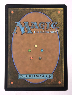 Tiger-Seal BORDERLESS 318 Avatar: The Last Airbender MTG Magic the Gathering NM - Image 2