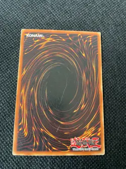 Forest LOB-046 - Common - 1st Edition - MP - YuGiOh! - Image 2