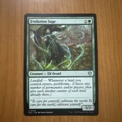 Evolution Sage - Lorwyn Eclipsed 2026 - N/M - MTG Magic The Gathering - Image 1