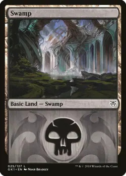 Swamp (25 Dimir) Guild Kit: Dimir NM Basic Land MAGIC GATHERING CARD ABUGames - Image 1