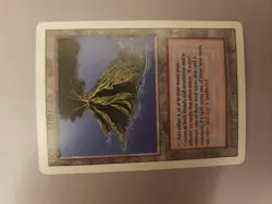 Volcanic Island - Revised Edition - MTG - Land - Rare - Regular Finish - Image 3