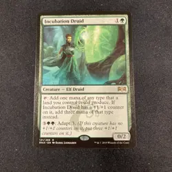 3 X Incubation Druid Ravnica Allegiance Regular - Image 4
