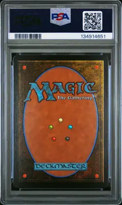 2025 MTG FINAL FANTASY BORDERLESS-FOIL #0406 TRAVELING CHOCOBO PSA 10 - Image 2