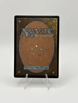 Forest (0892) (Rainbow Foil) Secret Lair Drop Foil Near Mint - Image 2