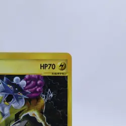 Raikou 039/088 Holo e Series Mysterious Mountains Pokemon Card Japanese 2002 - Image 3