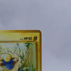 Mareep 2 Set No.179 18 & 30 Intro Pack Neo Totodile Deck Pokemon Card Japanese - Image 4