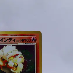 Arcanine 2 Set No.059 Holo Neo Destiny CD Promo Old Back Pokemon Card Japanese - Image 4