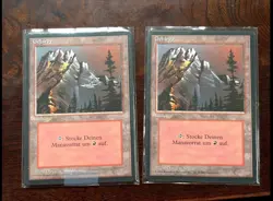 10x German Fbb Mountain (5V1 5V3) • Unplayed • Basic Land • Mtg - Image 1