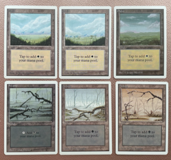 Set of 15 Unlimited land. Magic the gathering - Image 2