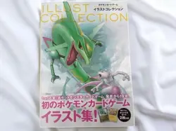 Pokemon Card Illust Collection Book Pikachu Rayquaza Promo 099 100/XY-P Japanese - Image 1