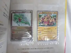 Pokemon Card Illust Collection Book Pikachu Rayquaza Promo 099 100/XY-P Japanese - Image 2