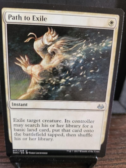 MTG Path to Exile- Modern Masters- Uncommon 017/249 - Image 1