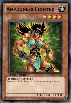 Amazoness Fighter - Limited Edition GLD3-EN005 - LP - YuGiOh - Image 1