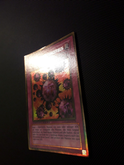 Yu-Gi-Oh! Kartenvernichtungsvirus, GLD1-DE038, Gold Rare, Lim. A., NM-EX - Image 3