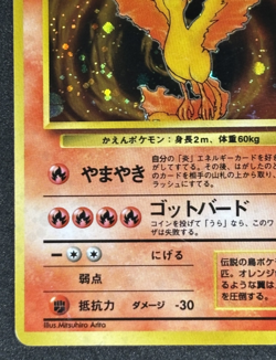 Pokemon card TCG Moltres No.146 Holo Rare Old Back Fossil 1997 Japanese - Image 4