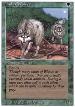 MTG Timber Wolves, Revised Edition, Heavily Played, English - Image 1