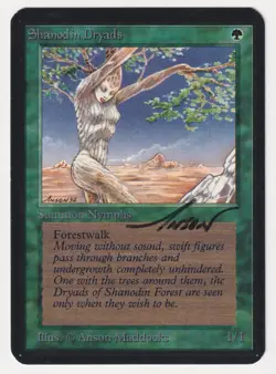 Signed Shanodin Dryads LP Alpha Limited Edition Artist Anson Maddocks MTG Magic! - Image 1