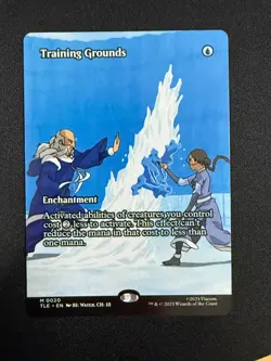 Training Grounds (BORDERLESS) - Avatar (MTG) NM - Image 1