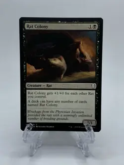 Rat Colony - Dominaria - MTG - COM - Magic The Gathering - Image 1