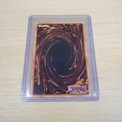 RP02-EN097 - Dragon Master Knight | Secret Rare | Unlimited | Retro Pack 2 - Image 2
