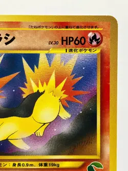 Pokemon card Neo Cyndaquil No.155 #16 Intro Pack Chikorita mark Japanese EX! - Image 5