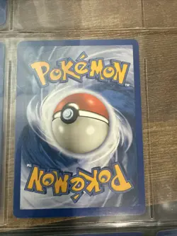 Pokemon Tcg - Ursaring 110/144 Skyridge Non-Holo HP - Image 2