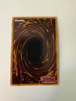 Yugioh - Paladin of Dark Dragon - Secret Rare - 1st Edition - DRL2-EN018 - NM - Image 2