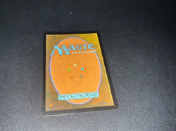 1 x MTG Ravenous Squirrel - Retro Foil - Bloomburrow WPN Promo - Image 2