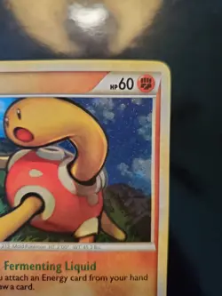 Shuckle HGSS15 Holo Pokemon TCG HeartGold SoulSilver Black Star Promo Very LP - Image 4