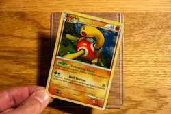 Shuckle HGSS15 HGSS Black Star Promos Holo - English Mid-Era Pokemon - Image 3