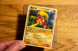 Shuckle HGSS15 HGSS Black Star Promos Holo - English Mid-Era Pokemon - Image 5