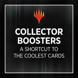 MTG: Murders at Karlov Manor - Collector Booster Display - Murders at Karlov Man 195166244884 - Image 3