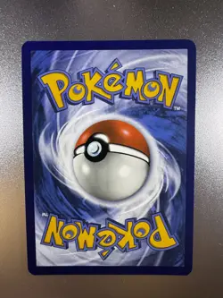 Charcadet Black Star Promo Pokemon Center Stamped - Image 2