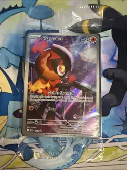Charcadet Pokemon Center Stamped Black Star Promo 022 Sealed - Image 1