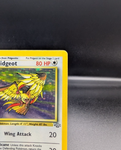 Pidgeot 8/64 - Jungle Holo - Vintage Pokemon TCG WOTC - LP/MP - Image 3
