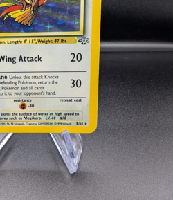 Pidgeot 8/64 - Jungle Holo - Vintage Pokemon TCG WOTC - LP/MP - Image 5