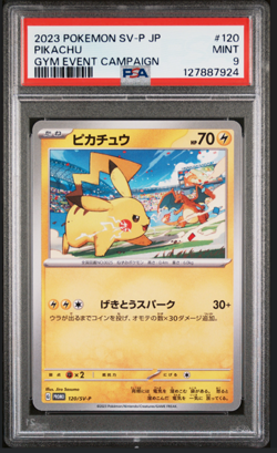 2023 POKEMON JAPANESE SV-P PROMO 120 PIKACHU GYM EVENT CAMPAIGN PSA 9 - Image 1