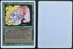 SIGNED MtG Magic Anson Maddocks _ Revised _ Artist Proof _ LLANOWAR ELVES _1/100 - Image 1