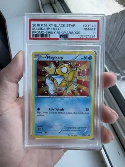 2016 POKEMON XY BLACK STAR PROMO SHINY MEGA GYARADOS #XY143 MAGIKARP-HOLO PSA 8 - Image 1