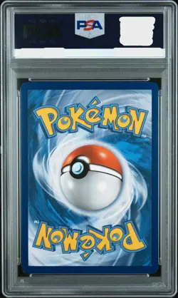 2016 POKEMON XY BLACK STAR PROMO SHINY MEGA GYARADOS #XY143 MAGIKARP-HOLO PSA 8 - Image 2