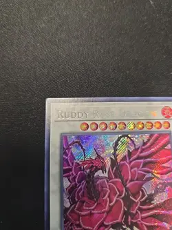 Ruddy Rose Dragon Secret Rare LIOV-EN035 Yugioh - Image 2