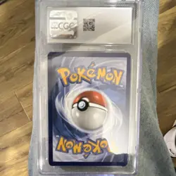Pokemon Feraligatr 213 Illustration Contest 2024 Promo CGC 9.5 - Image 2
