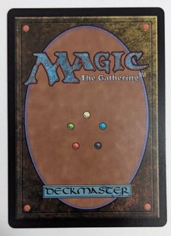 Ancient Adamantoise (0172) Final Fantasy FIN, Magic MtG, Regular - NM! - Image 2
