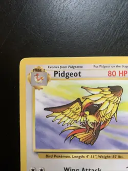 Pidgeot 24/64 Non Holo Jungle Set Rare Pokemon Card WOTC - Image 2