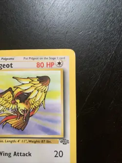 Pidgeot 24/64 Non Holo Jungle Set Rare Pokemon Card WOTC - Image 3